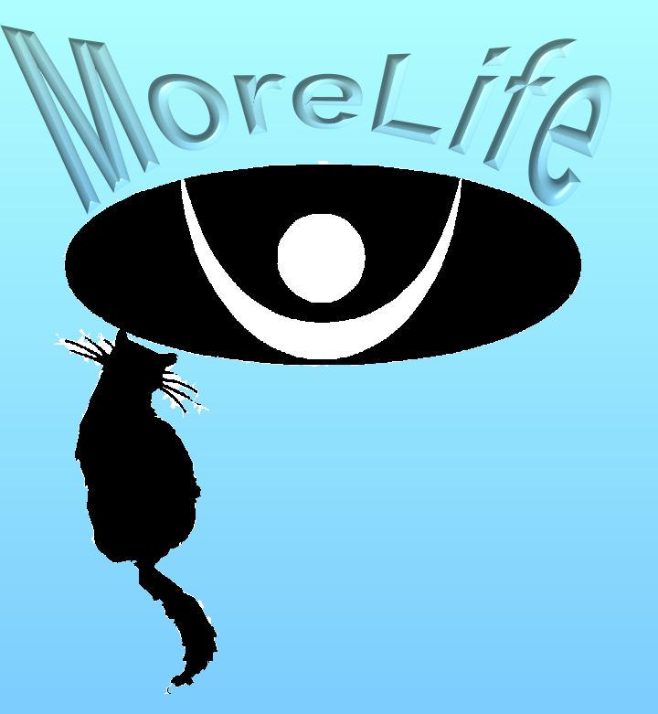 Go to MoreLife Entry Page