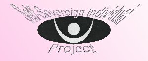Go to Self-Sovereign Individual Project Entry Page