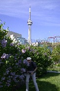 Tom (Paul) in the lilac at Toronto's Harbor Front