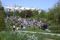 Toronto's Music Garden at the Harbor Front