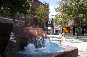 Cool fountain break for Kitty in Concord NH