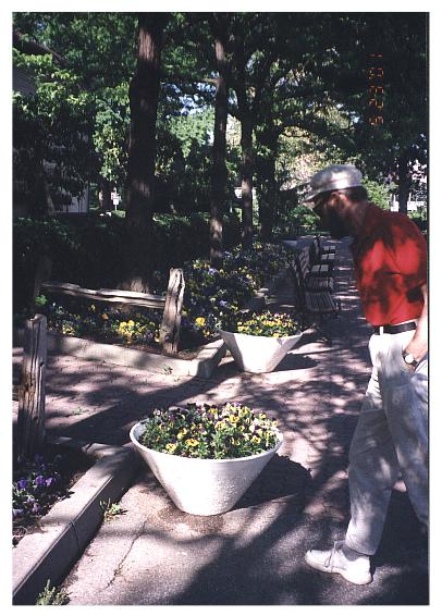 Tom & Pansies at Edwards Garden