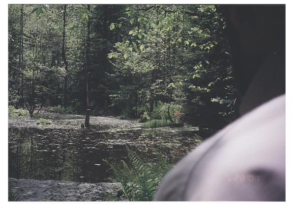 Beautifully eerie pond seen over Tom's shoulder