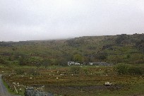 Sheep graze in Rhyd-Ddu