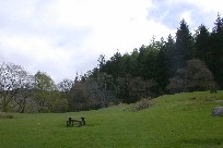 Grass in Com-y-Coed park looks good enough for golf