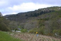 A great hike in Com-y-Coed park