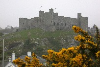 Harlech castle from NW