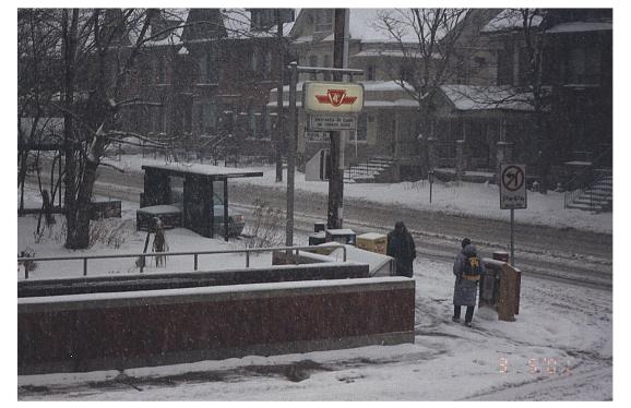 Winter view from dining room