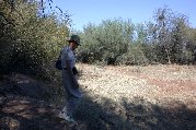 Paul descends the berm