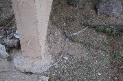 Molted snake skin at passageway between outbuilding and wall