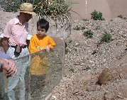 Paul explains to Ofek that looking only is the best for both prairie dogs and visitors