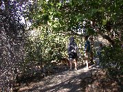 Micky and Jack on the winding aviary path