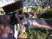 Micky examines a plant that looked similar to one he remembered in Israel