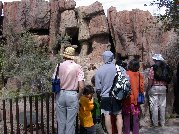 Viewing the Mountain Lion habitat