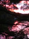 A late August sunst viewed from our Ontario deck