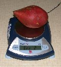 Good size sweet potato exceeds scale limit of 400g