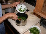 There are a lot of leaves with collards, less with kale