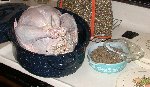 Thanksgiving Turkey with rye/nut/hemp stuffing (plus extra) prior to roasting