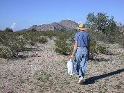 Now we’re headed north and back into the desert itself