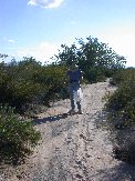 Paul inspects green plastic bag found at base of creosote overhanging wash