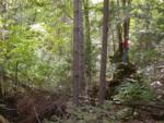 Paul climbed the root end before we moved on