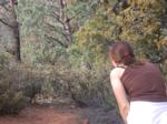 Lindsey tries to catch sight of woodpecker in pine tree