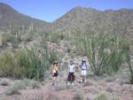 Emily, Lindsey and Paul among the ocotillos give Kitty big smiles