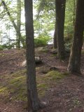 A curious gray squirrel carried off a bit of pineapple to chew on, while sitting a few dozen feet closer to the lake