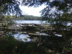 Lake outlet is mostly blocked with several seasons of downed trees