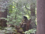 Black (blurry) squirrel sits atop old tree stump