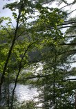 Rain falls on the lake as the sun shines