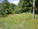 Power pole, with field of wild flowers and strawberries around it, carries warning of narrow bridge ahead