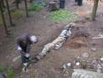 2 days later Paul rebuilds the wall to sit higher and extend to the tree root