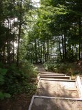 Those blueberry bushes will likely now have more berries - and the lake is more visible