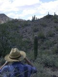 Crested saguaro on distant hillside