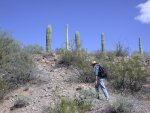 Back up to the desert slope surface from the wash