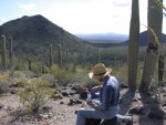 Our hibiscus-green-rooibos tea blend goes well anywhere