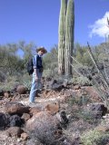 Agave beyond Paul will eventually crowd out barrel cactus