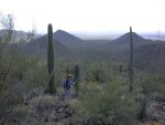 The red rocks contrast interestingly with varied green shades of desert growth